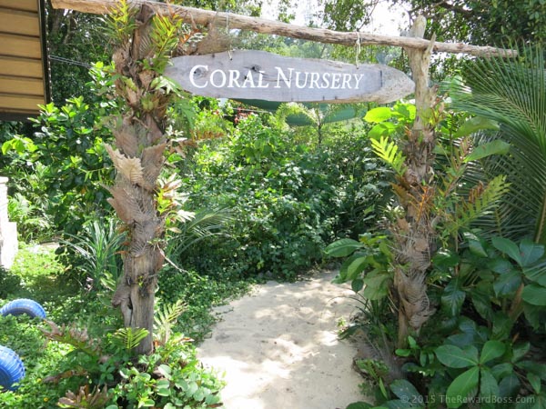 Andaman Langkawi Coral Nursery