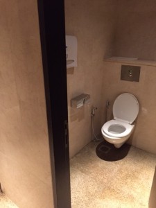 EVA Air Infinity - Bathroom Toilet