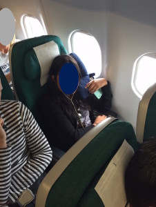 Aer Lingus Coach Seat