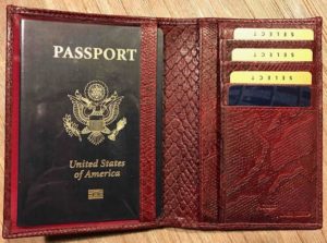 RFID Access Denied Passport Wallet Cognac Python